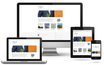 Webs responsive