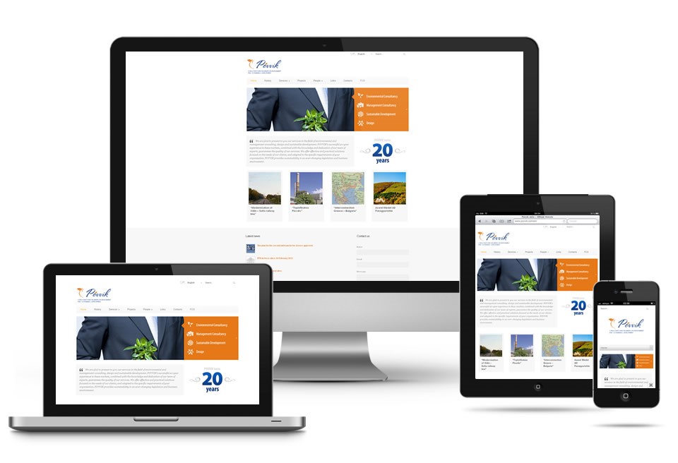 Webs responsive