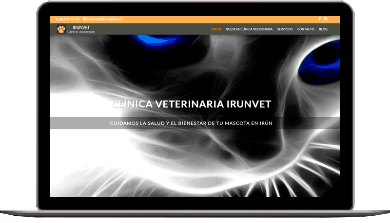 Diseño web: IrunVet